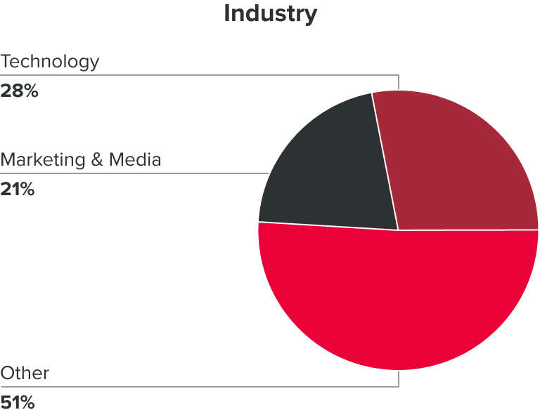 An illustrative pie chart visualizing the occupational distribution within the demographic. Technology 28%, Marketing and media 21% and other 51%