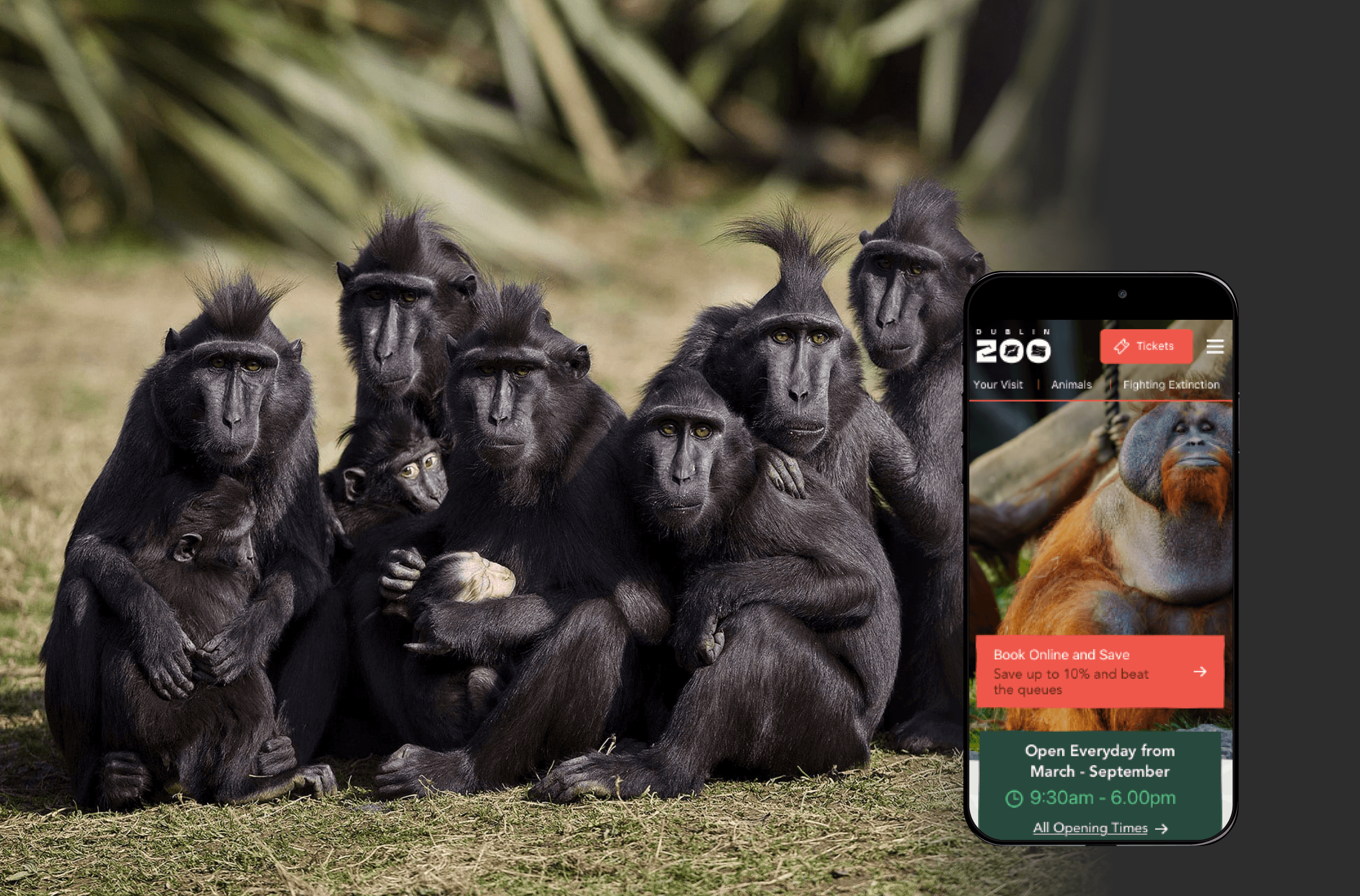 Dublin Zoo