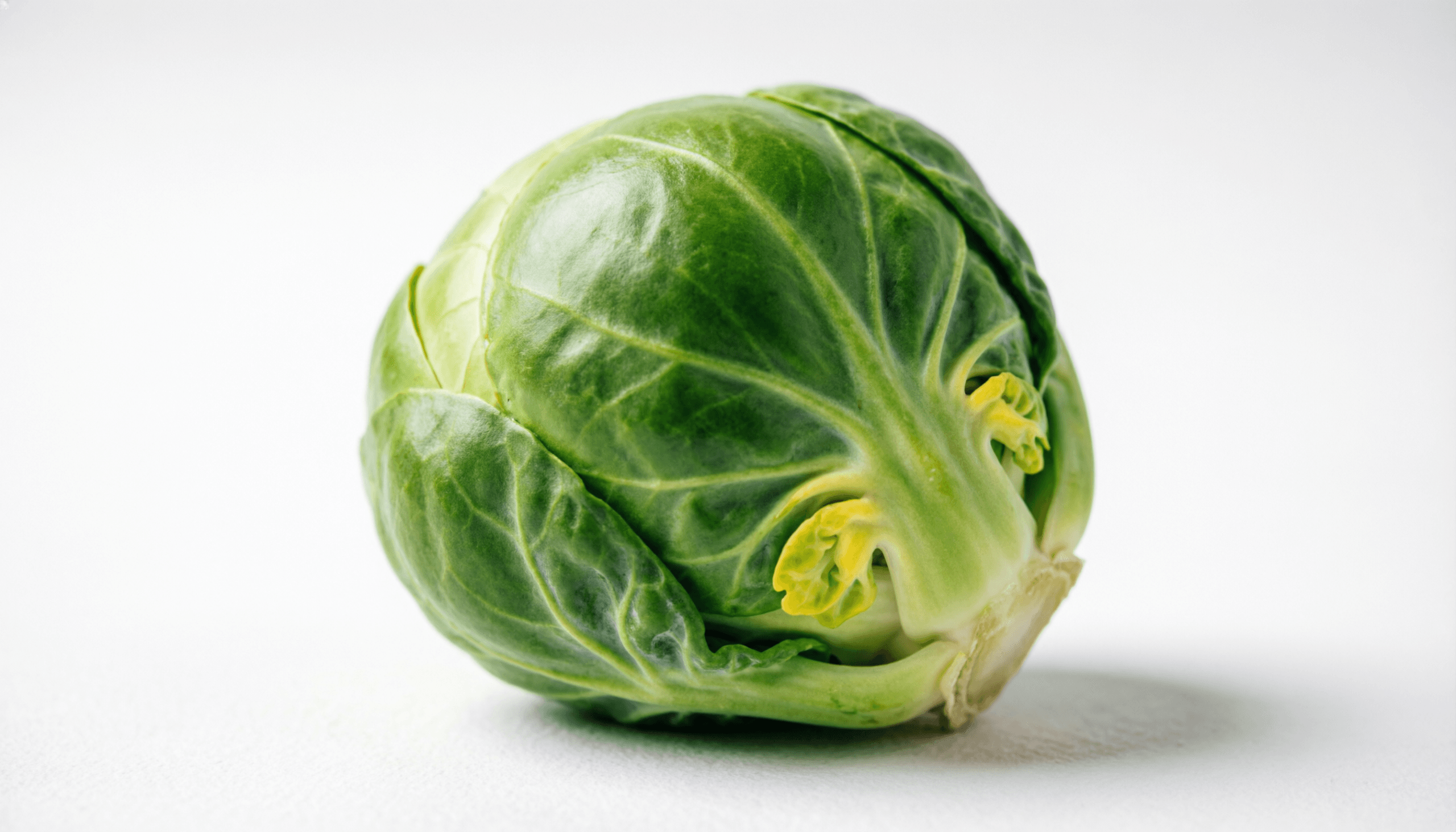 A Brussels sprout