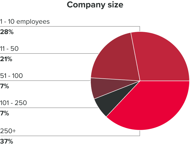 An illustrative pie chart detailing the distribution of company sizes within the demographic. 1 to 10 employees 28%, 11 to 50 employees 21%, 51 to 100 employees 7%, 101 to 250 employees 7% and 250 plus employees 37%