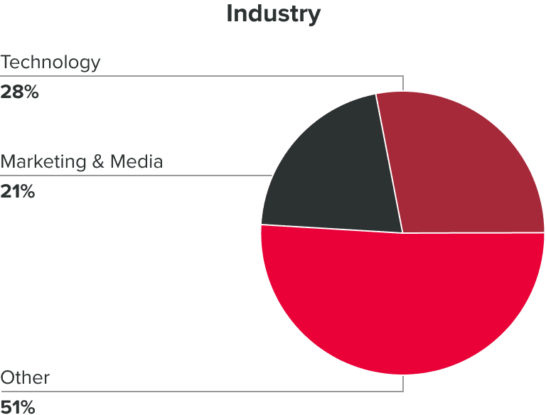 An illustrative pie chart visualizing the occupational distribution within the demographic. Technology 28%, Marketing and media 21% and other 51%