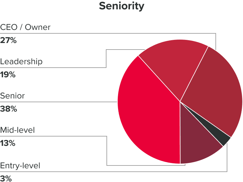 An illustrative pie chart illustrating the distribution of seniority within the demographic. Ceo or owner 27%, leadership 19%, senior 38%, mid-level 13% and entry level 3%.